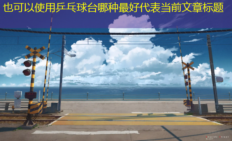 乒乓球台哪种最好
