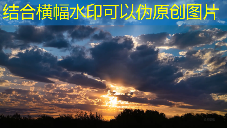 从材料角度看塑胶跑道：五花八门的选择等着你