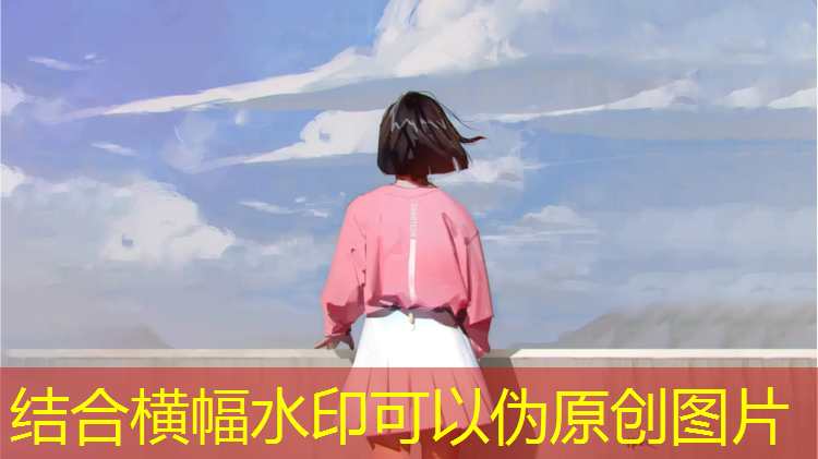 室内健身房器械搭配